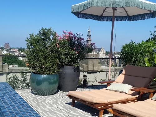 Roof terrace with deck chairs, parasols, plant planters and a swimming pool